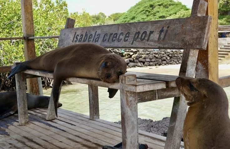 Lifetime tweet media