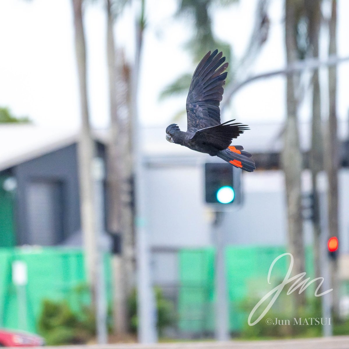 Jun MATSUI tweet media