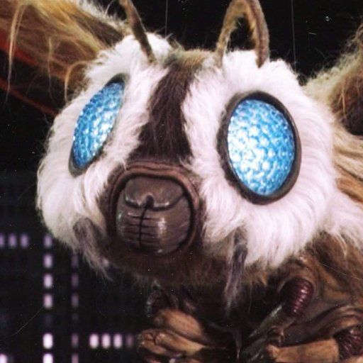 PumpkinLou 🐤 tweet media