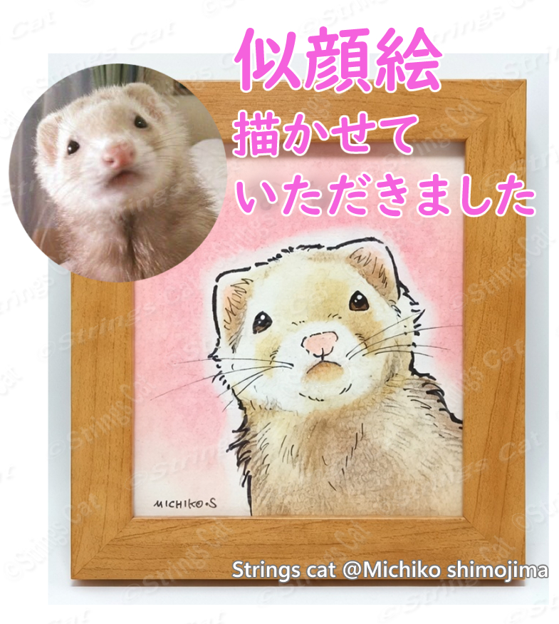 Strings cat・下島みちこ@猫の絵描き tweet media