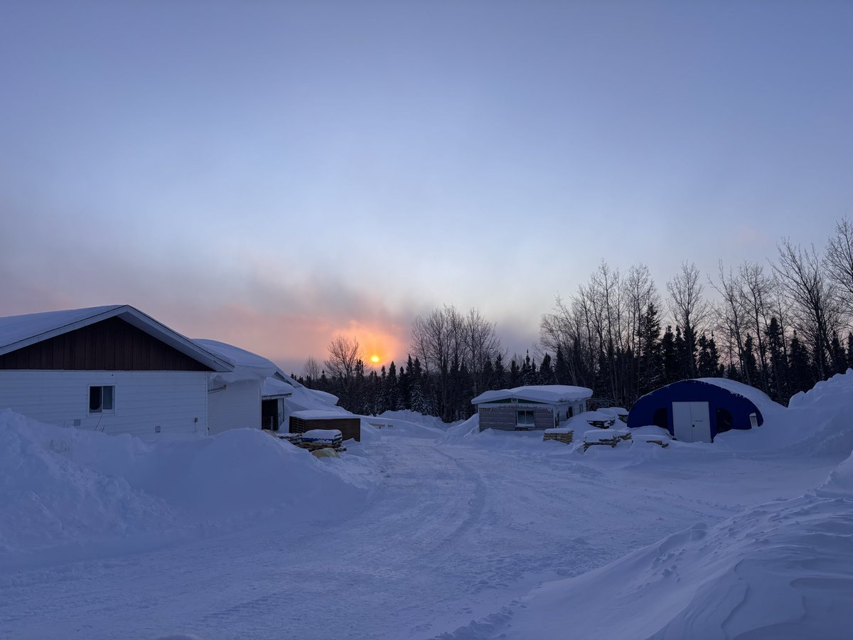 Alicia Milne tweet media