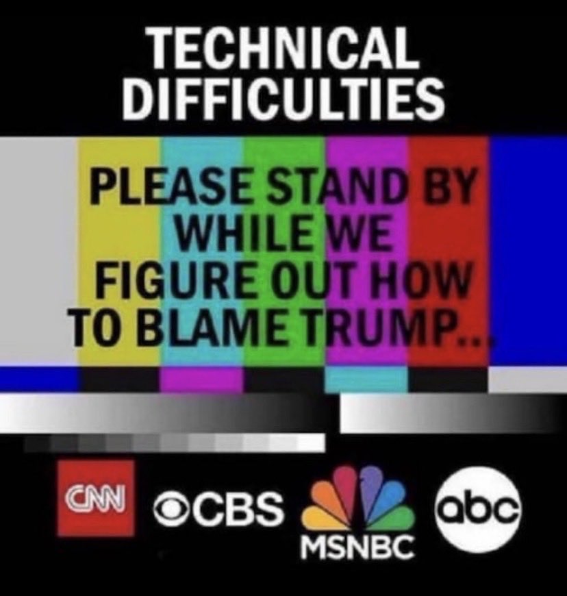 TurtleSpeed tweet media