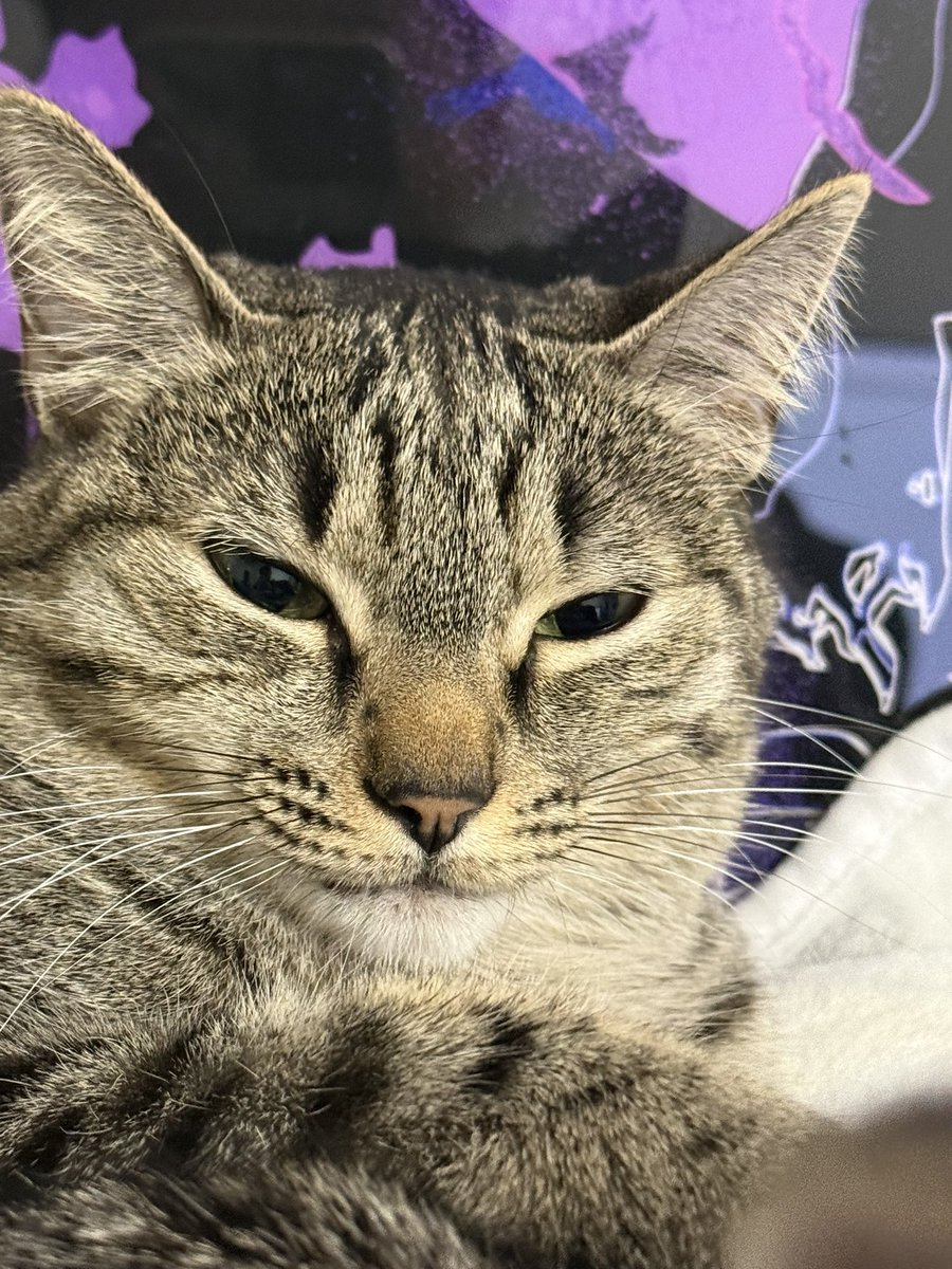 NY Mando ➡️ D.I.Y tweet media