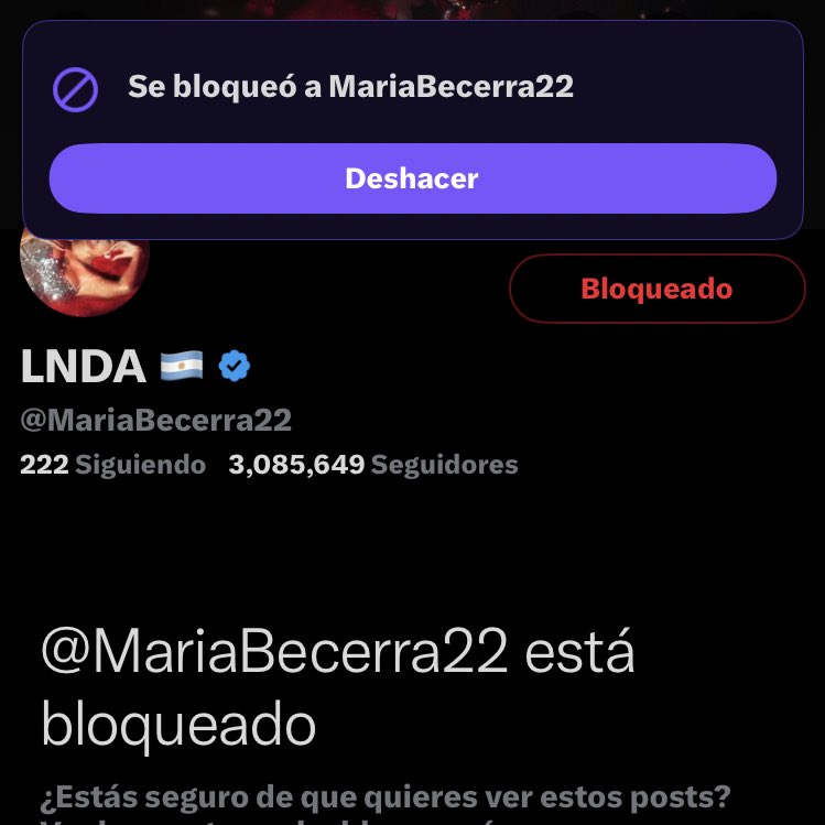 leo ⊹ ࣪ ˖ tweet media