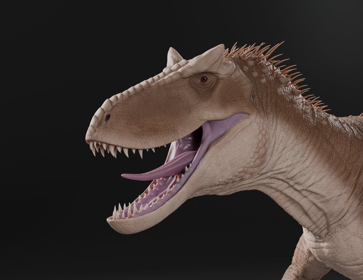 dude-Commissions Open tweet media