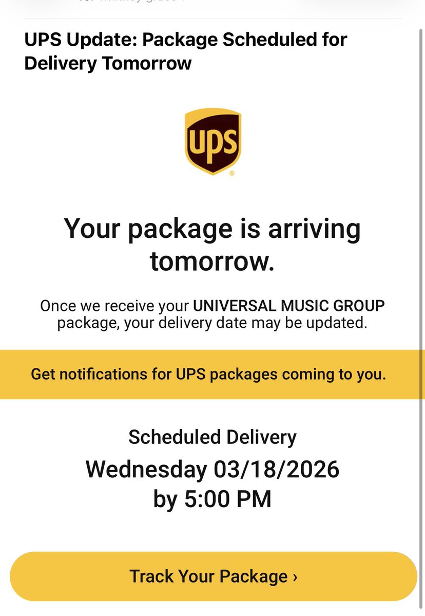 gracie🐾 tweet media