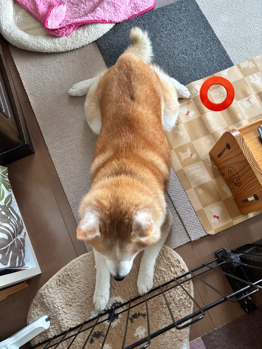 Koonie & Yuta tweet media