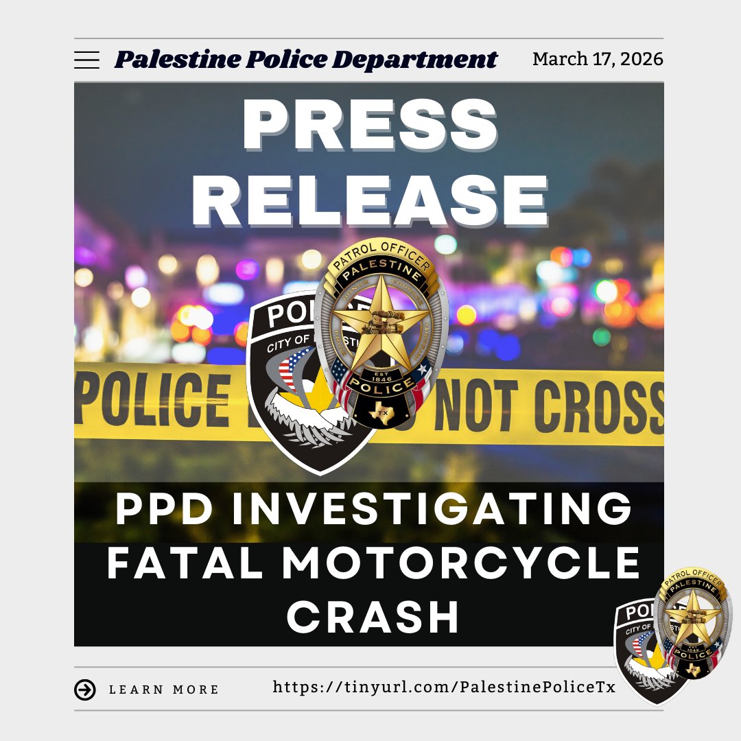 Palestine PD tweet media