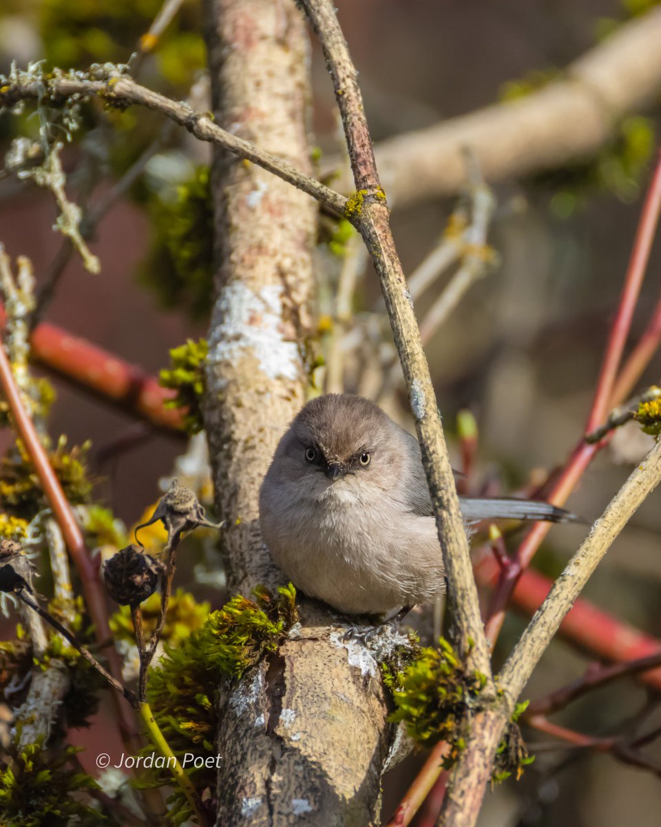 SceneKidSanta 𓅣𓅃 tweet media