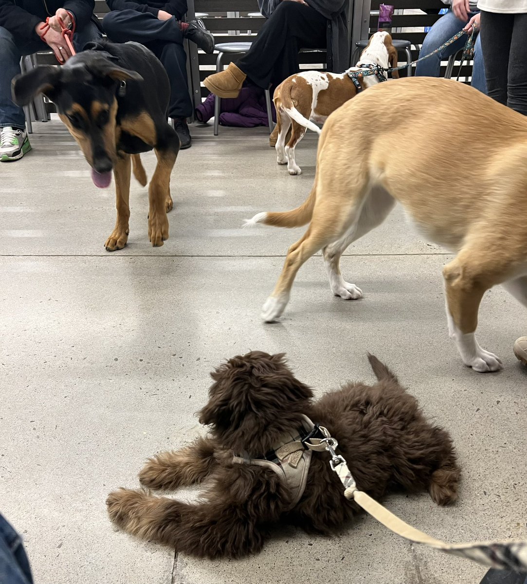 Mike Shoreman tweet media