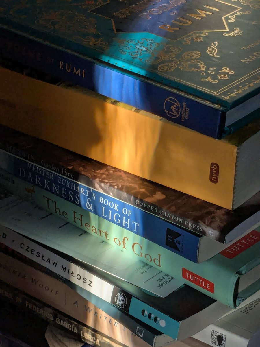 Into The Forest Dark tweet media