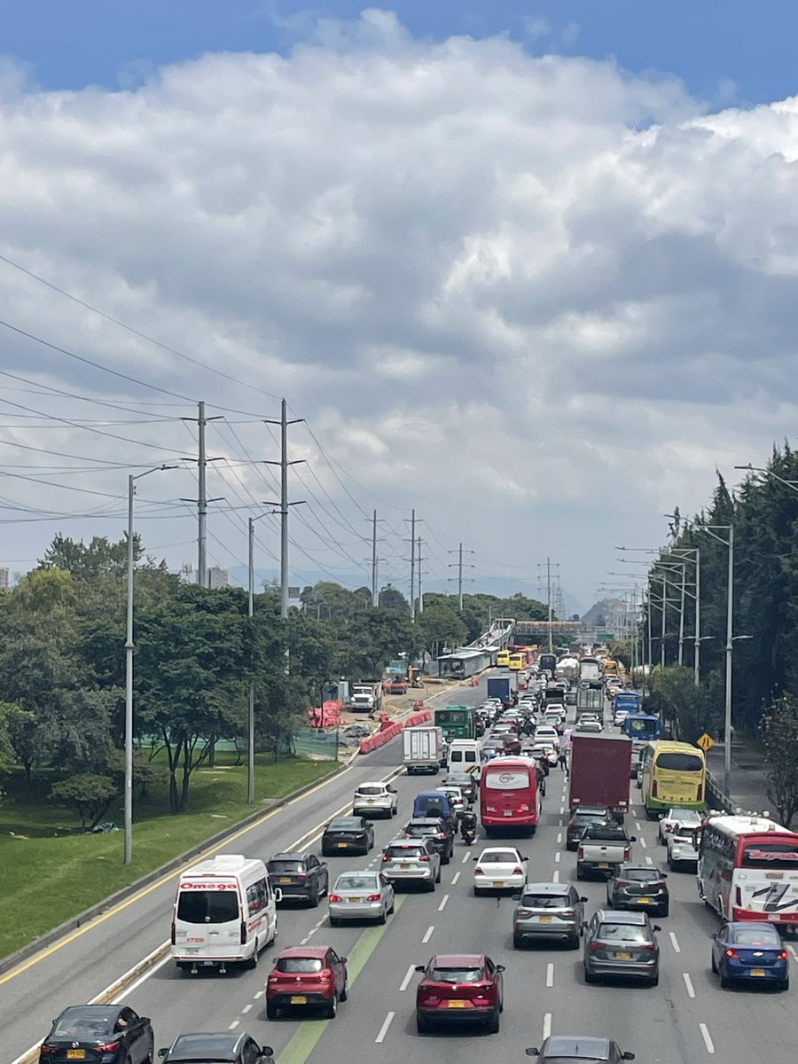 Karolina Jirafales 🌳🇵🇸 tweet media