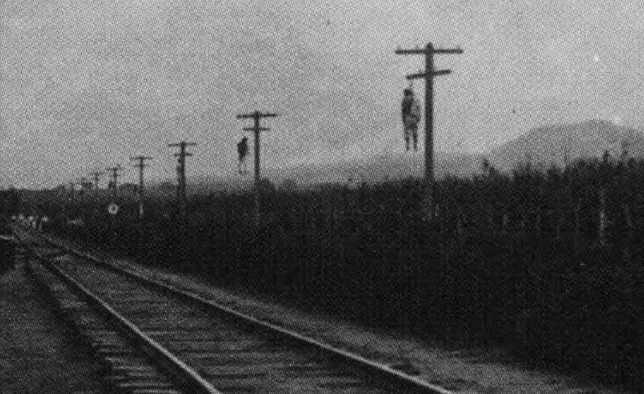 Gato de Soro$ Porno Onanista tweet media