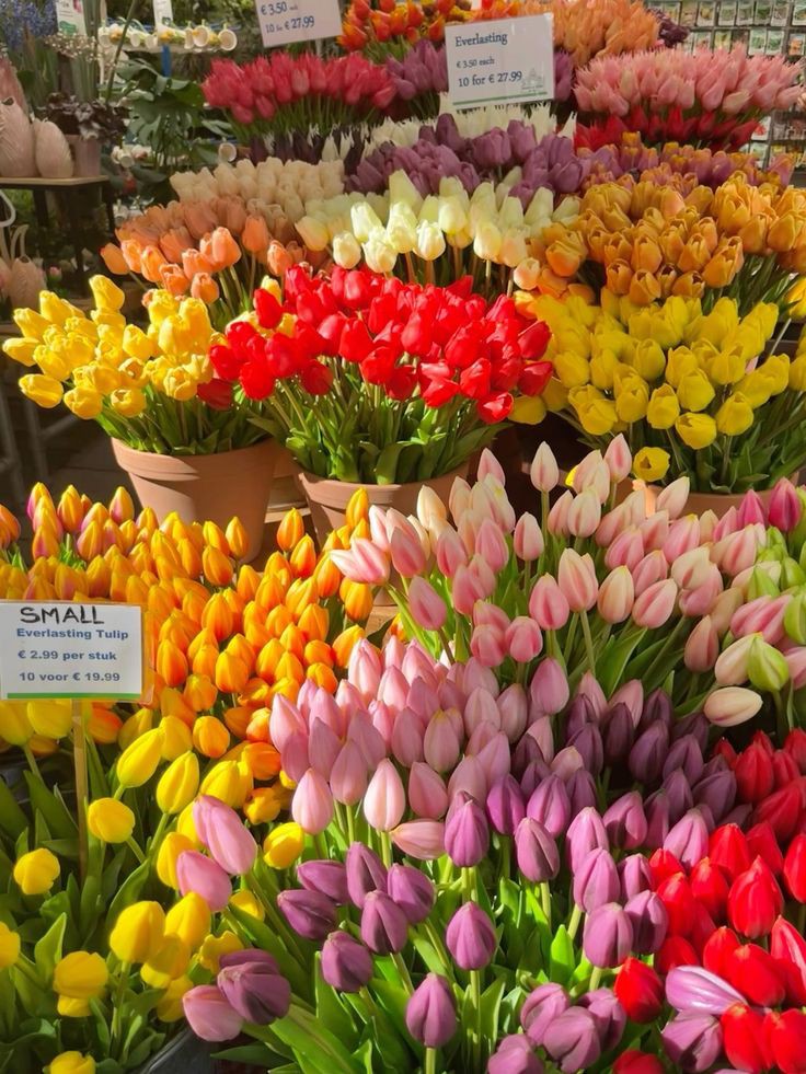 tutututututulip's tweet photo. https://t.co/420TYnAXvt