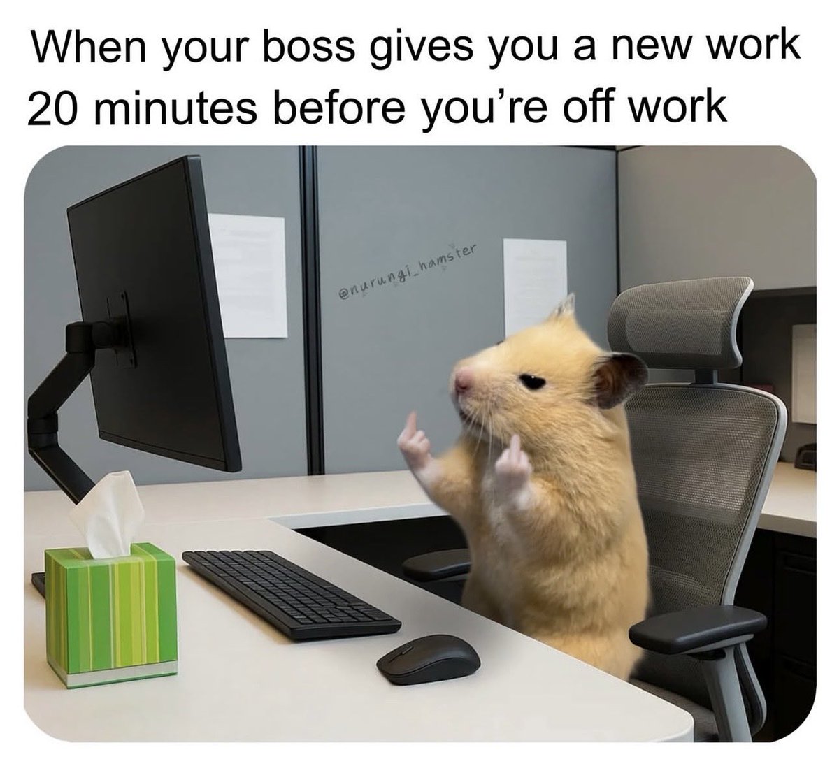 Rebel ❤️‍🔥 tweet media