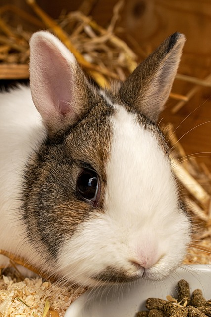 Innocent Look Only 😇 tweet media