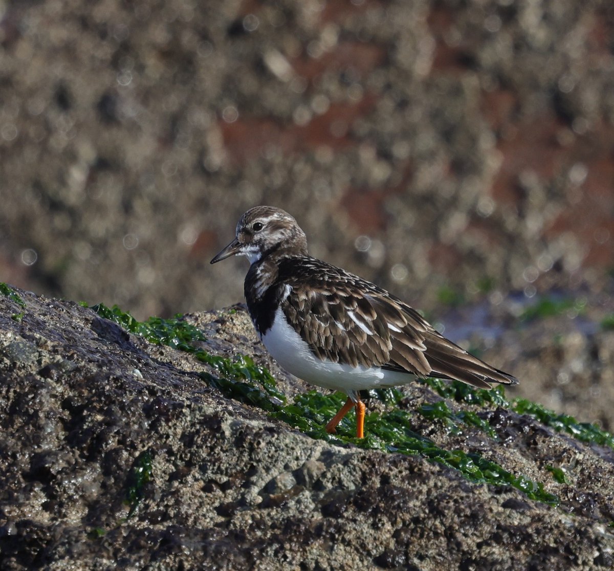 Ruth Watson tweet media