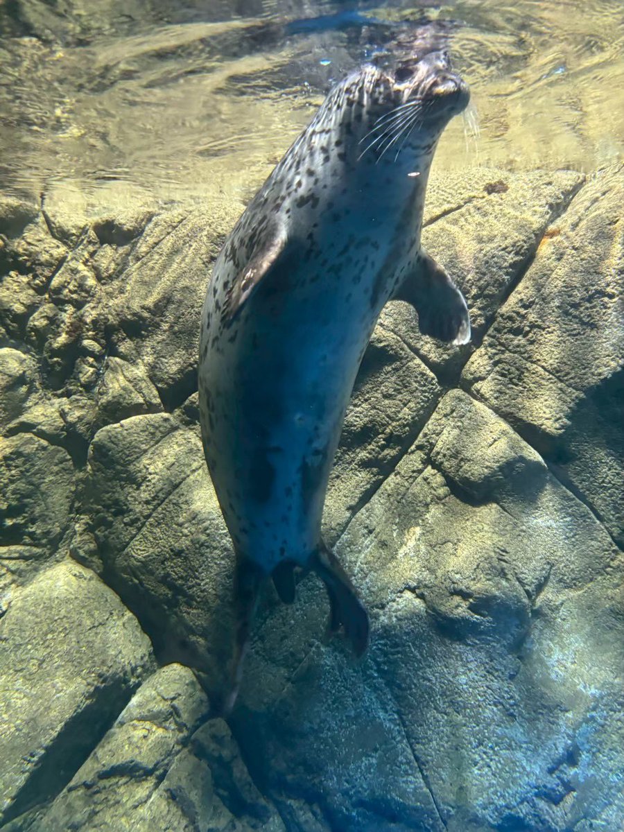 なつき ‎✿ ‎ tweet media