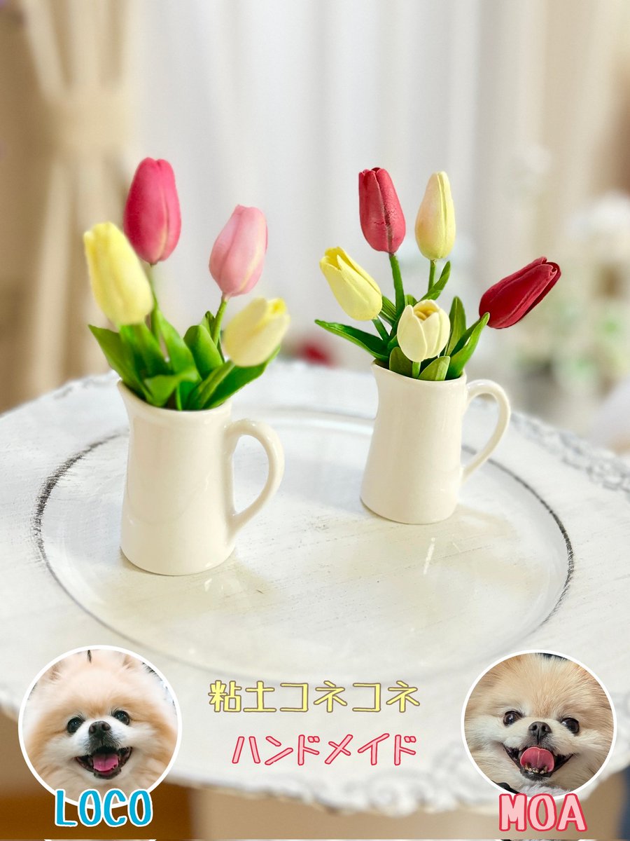 ロコ❤モア tweet media