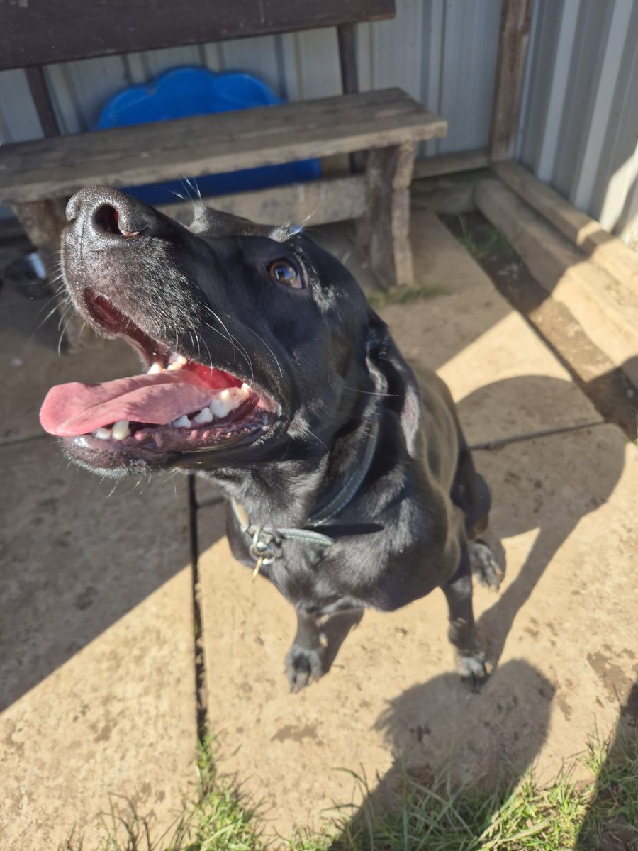 🌟ALLIE YARM 🌟 tweet media