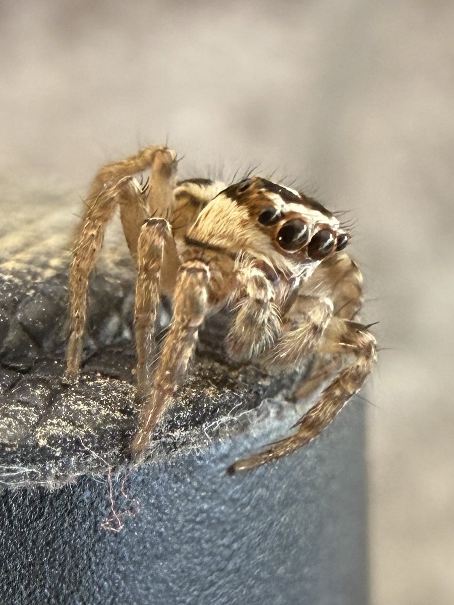 Talin / Jamn tweet media