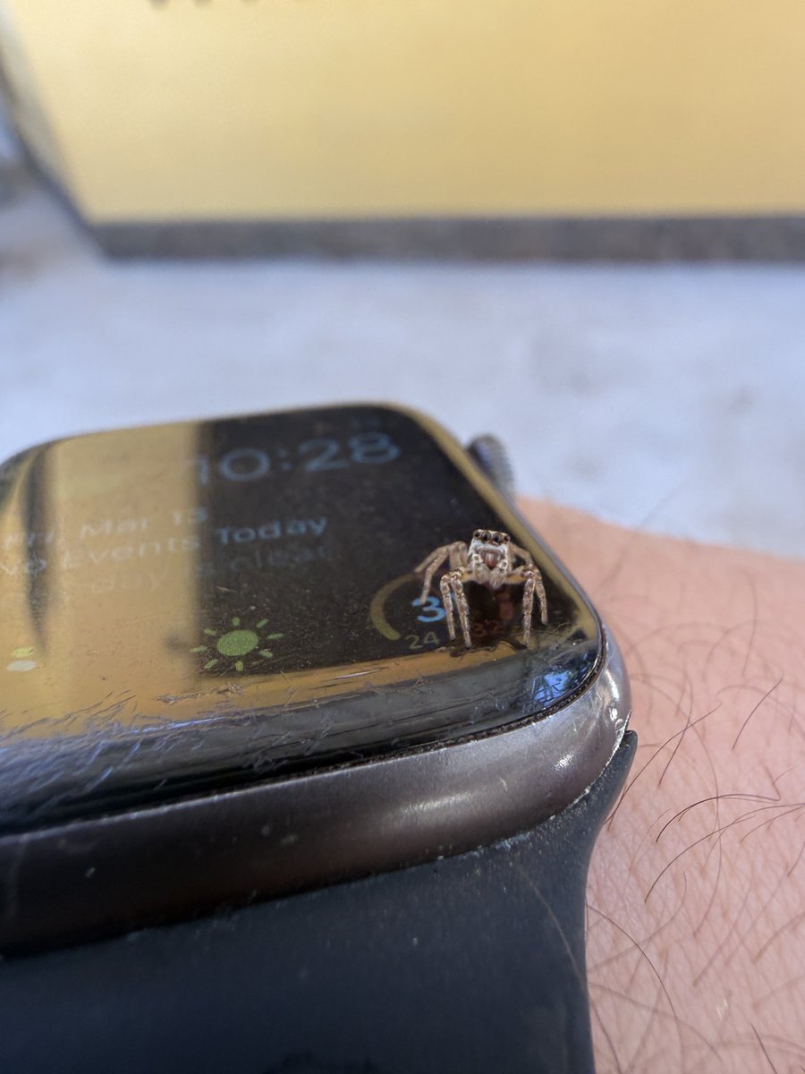 Talin / Jamn tweet media