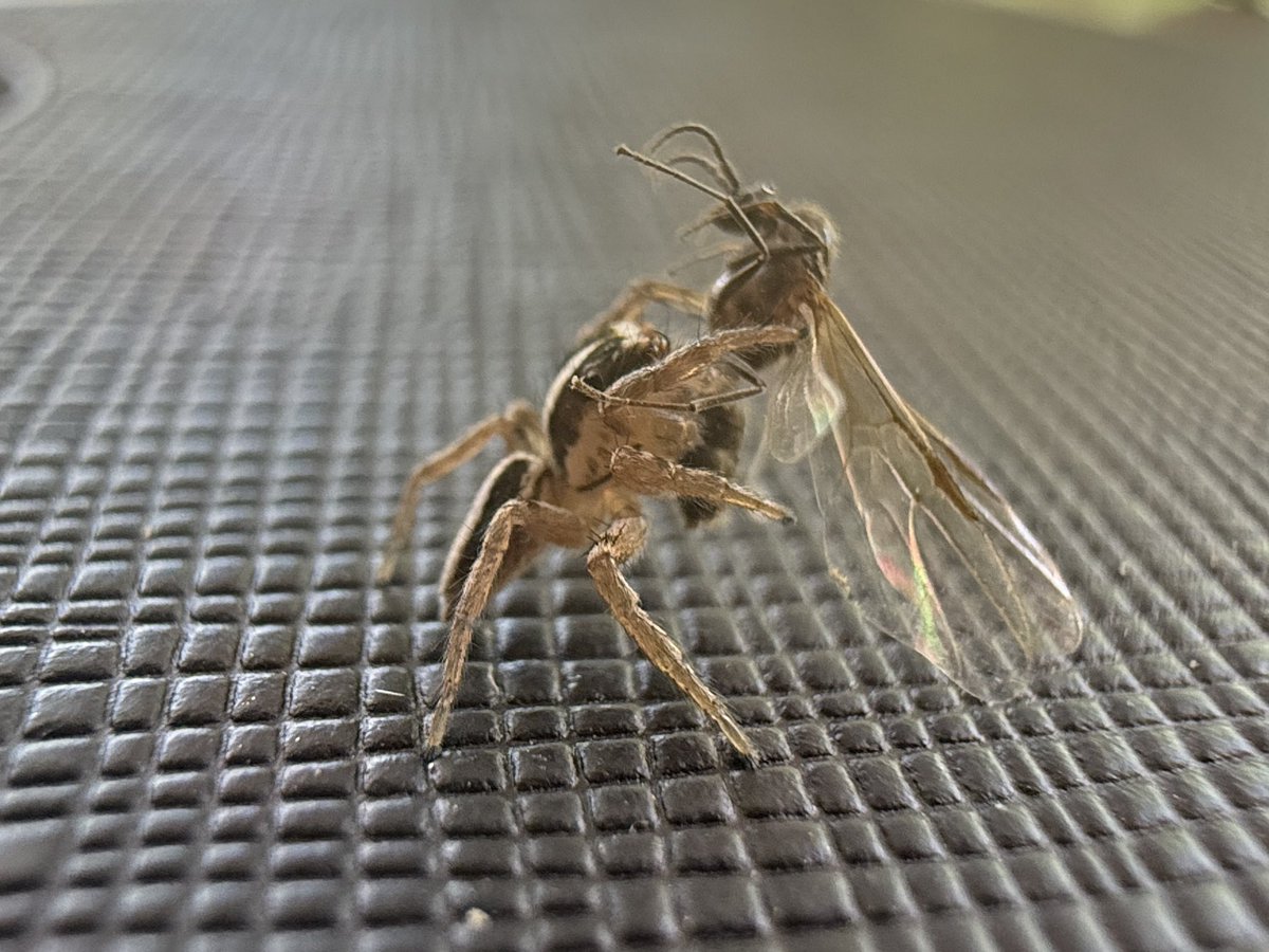 Talin / Jamn tweet media