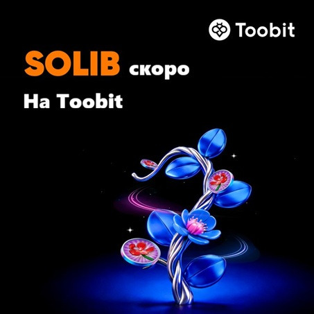 Toobit CIS tweet media