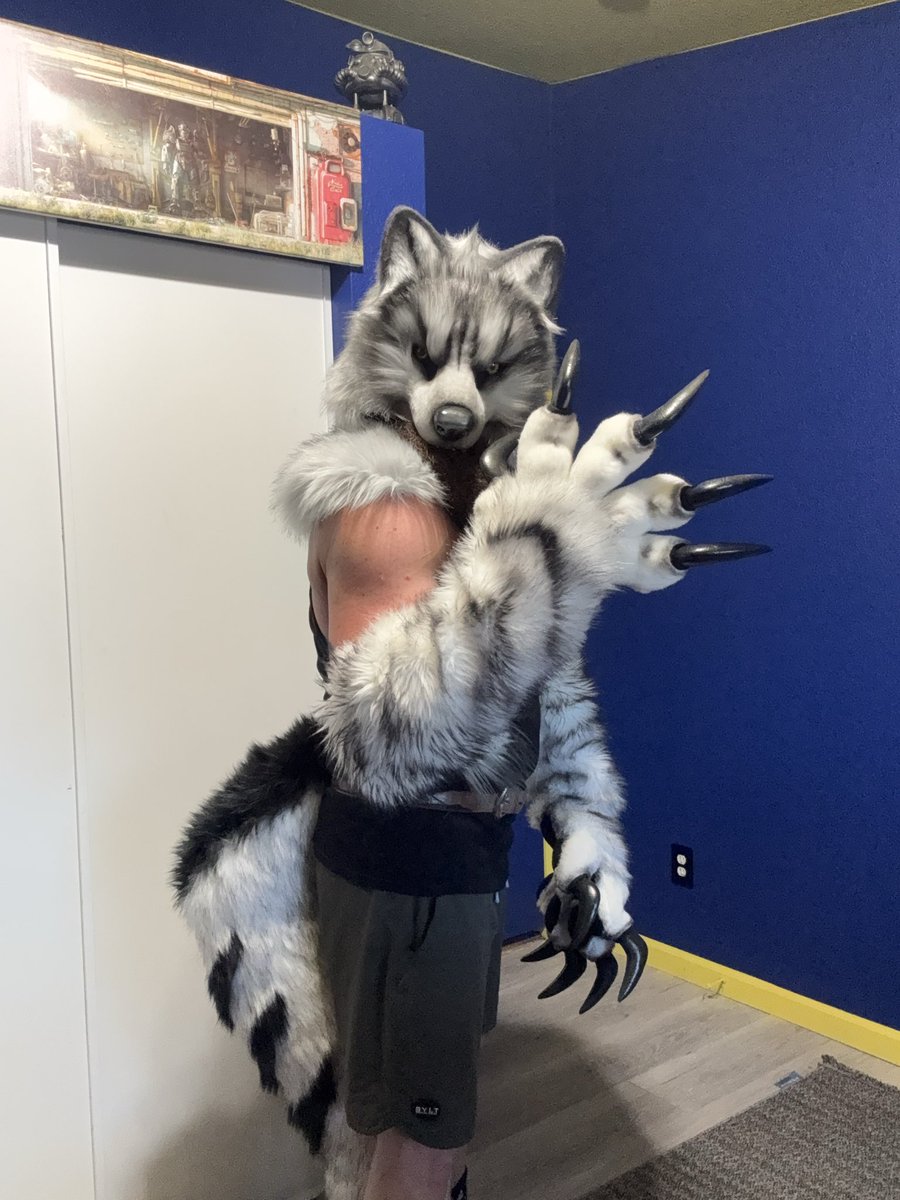 Wolfie 🔜Furlingame 🔜MegaPlex🔜PawCon🔜BLFC tweet media