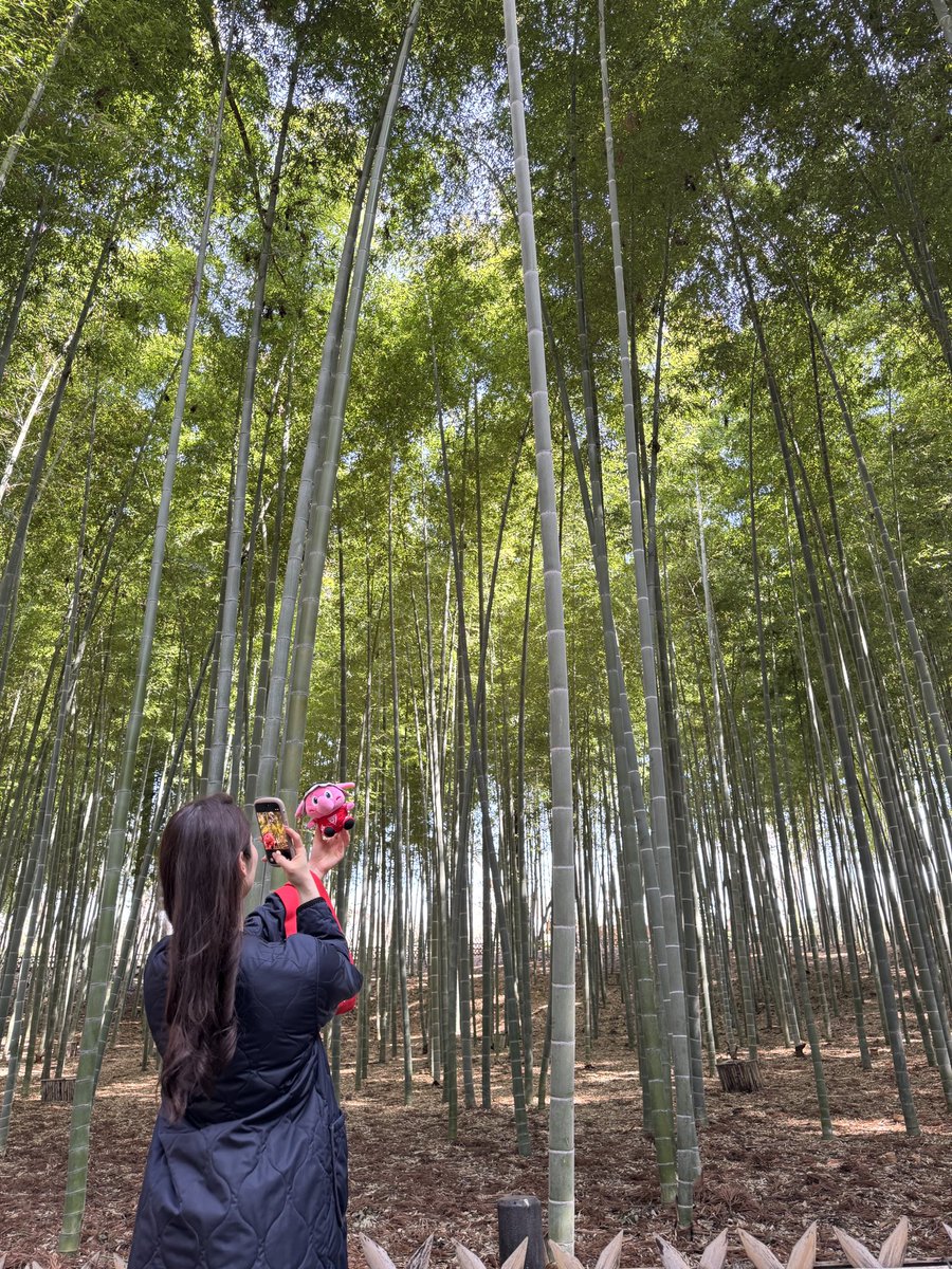 ๐๐ฒ๐_๐๐๐๐๐๐๐๐๏ผในใฟใผใธใงใใ๏ผ tweet media