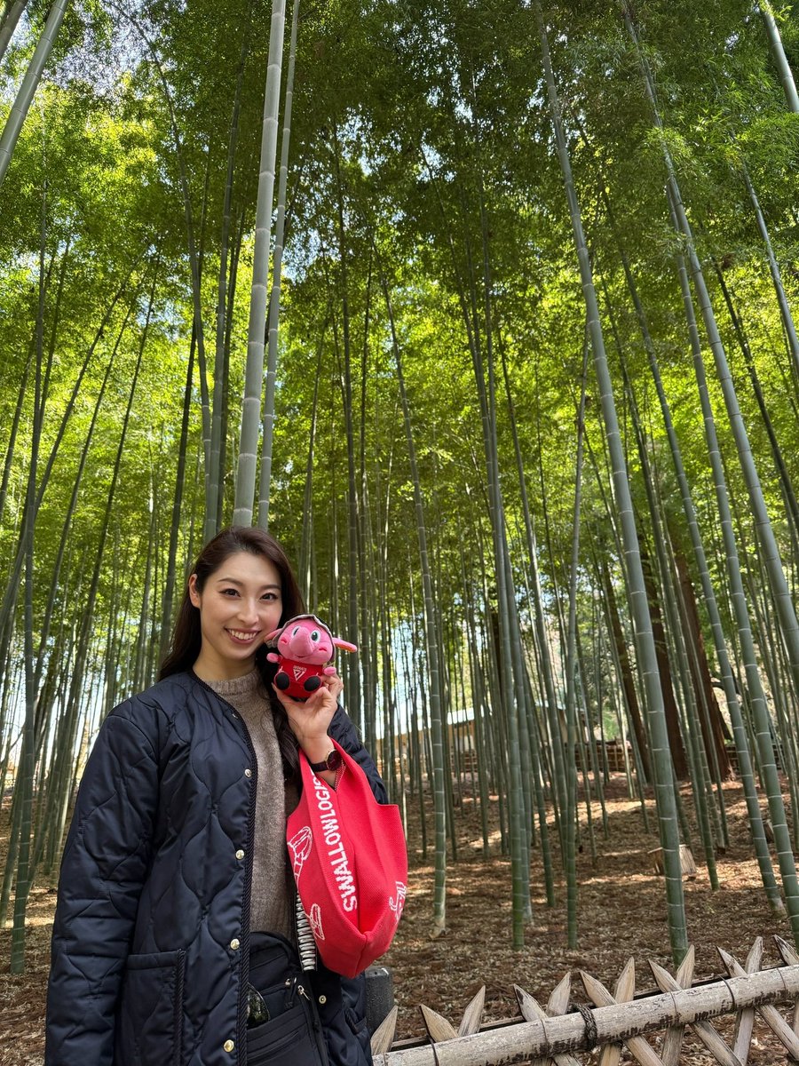 ๐๐ฒ๐_๐๐๐๐๐๐๐๐๏ผในใฟใผใธใงใใ๏ผ tweet media