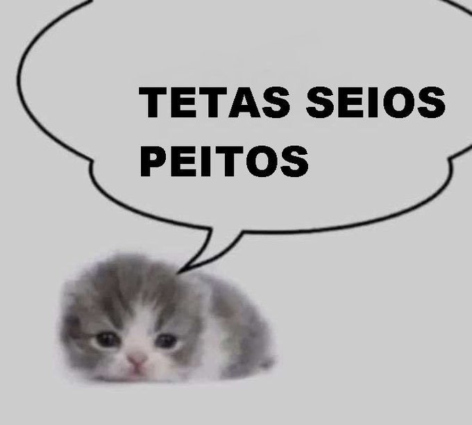 Traficante de Memes tweet media