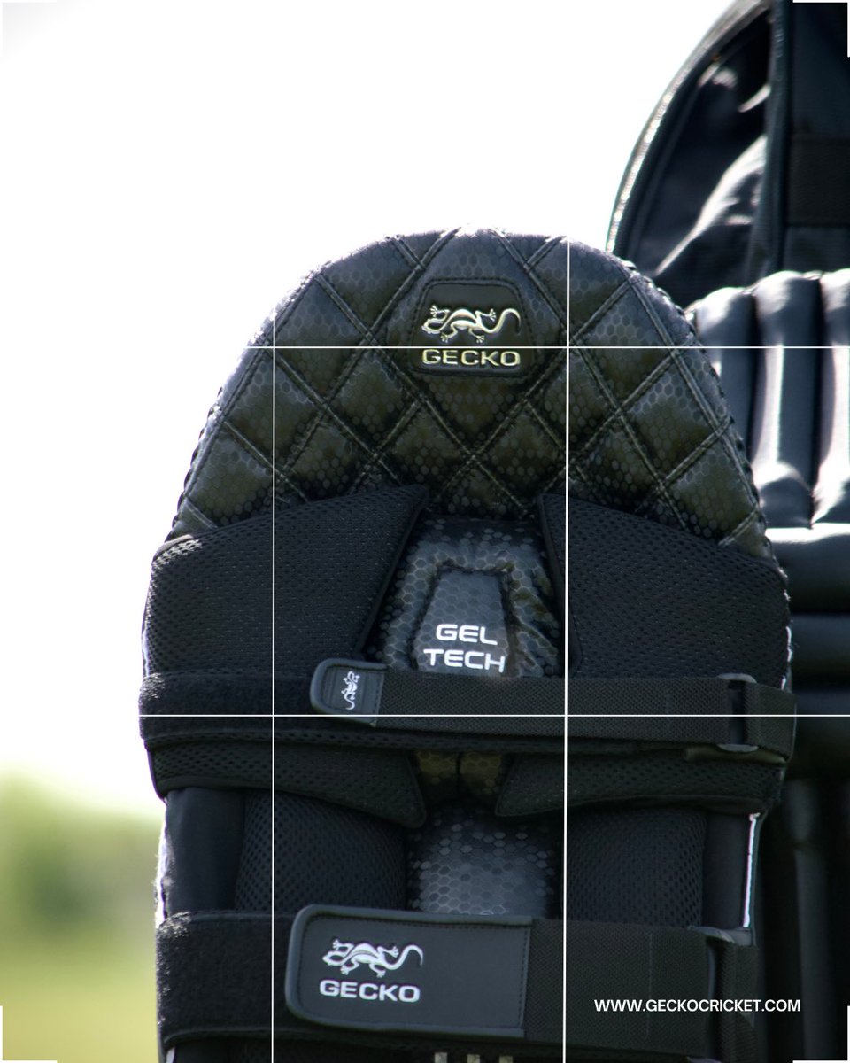 GECKO Cricket tweet media