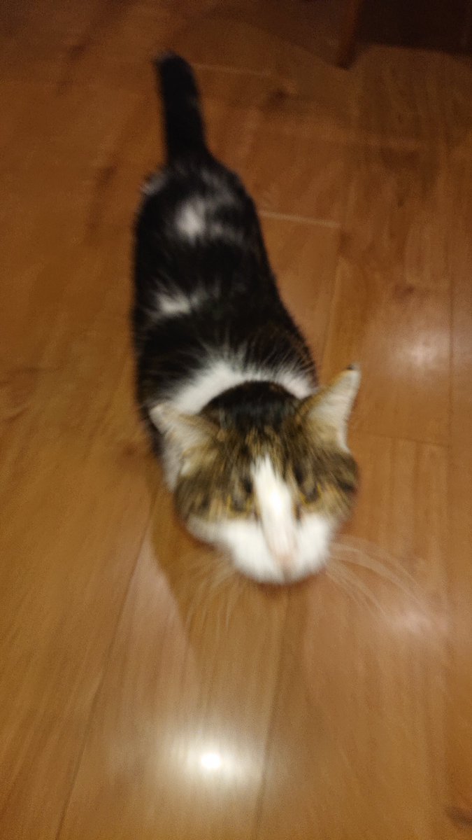 Chris Smith (007) tweet media