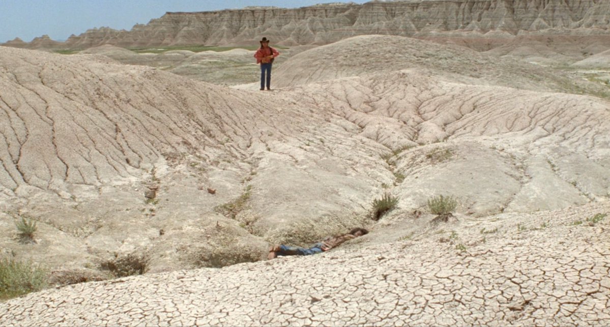 Jake Tropila tweet media