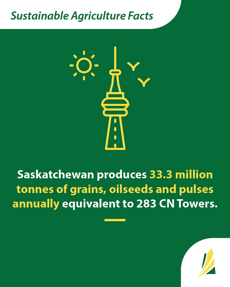 Sask Wheat tweet media