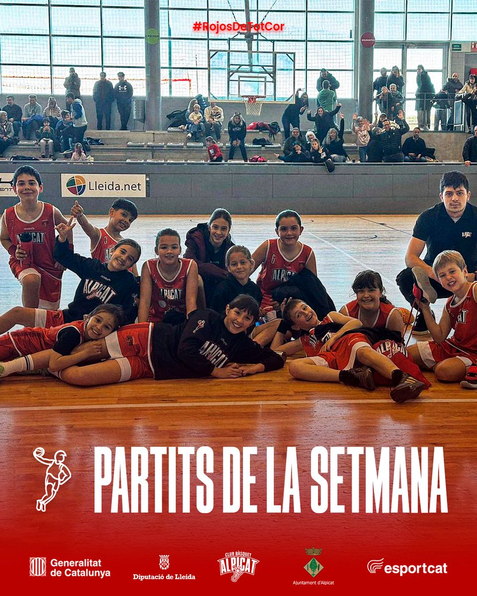 CbAlpicat tweet media