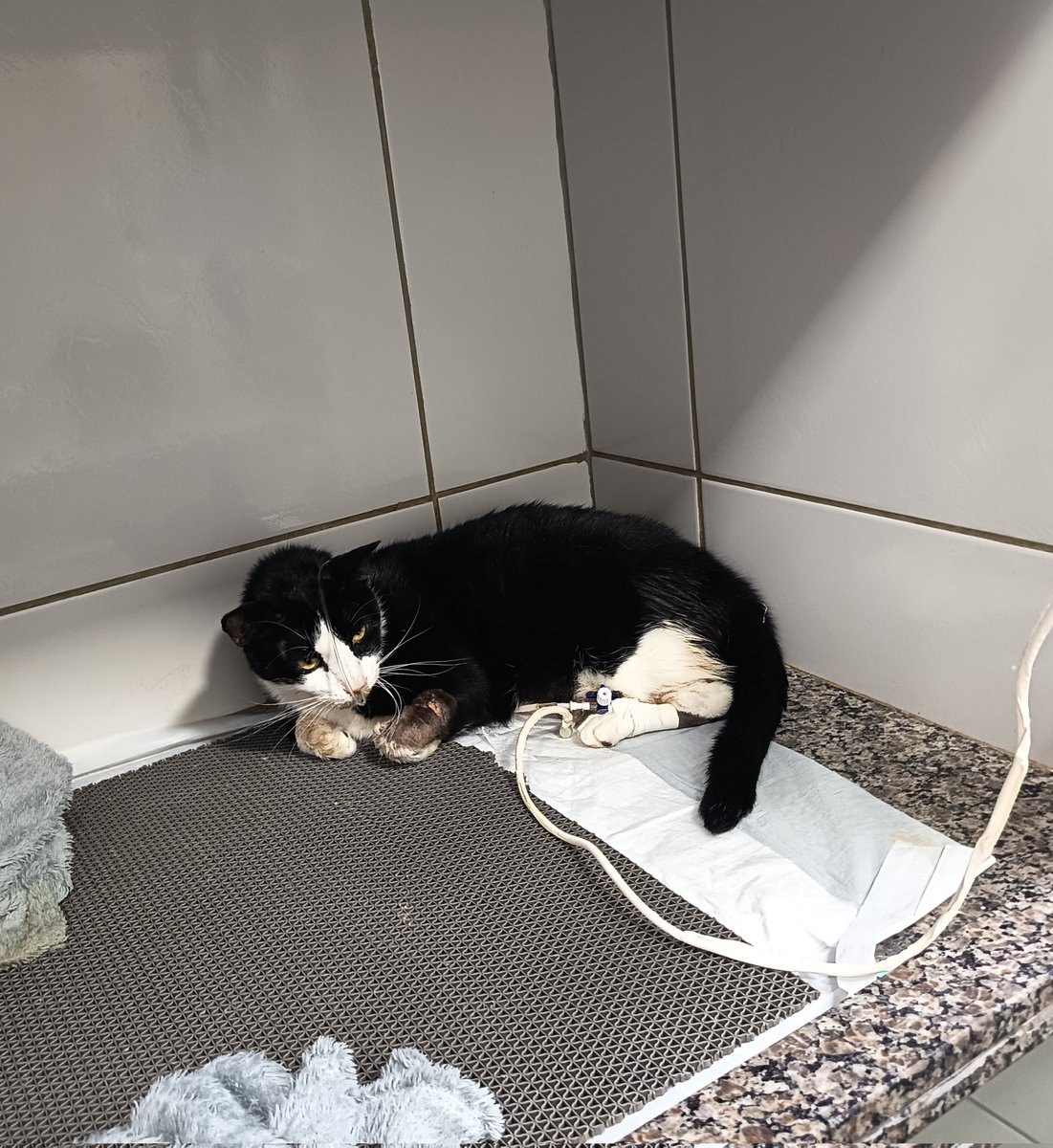 . 𝒥𝓊𝓈𝓉𝓂ℯ ✨ tweet media