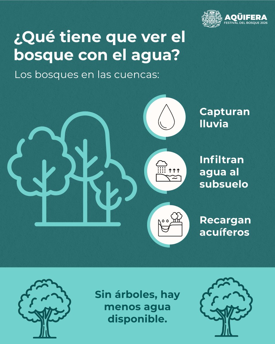 Aqüifera: Festival del Bosque tweet media