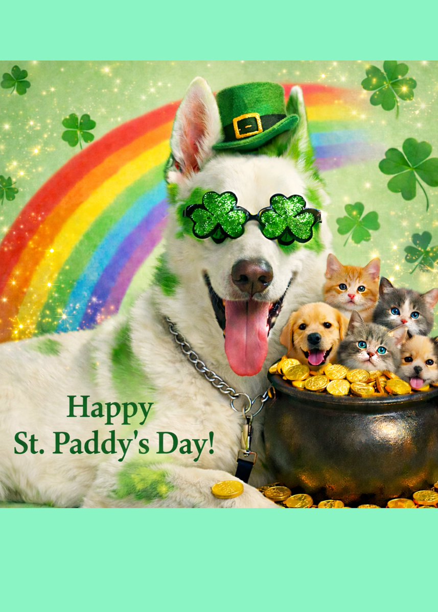 Angel Avi🌈😇❤️ tweet media