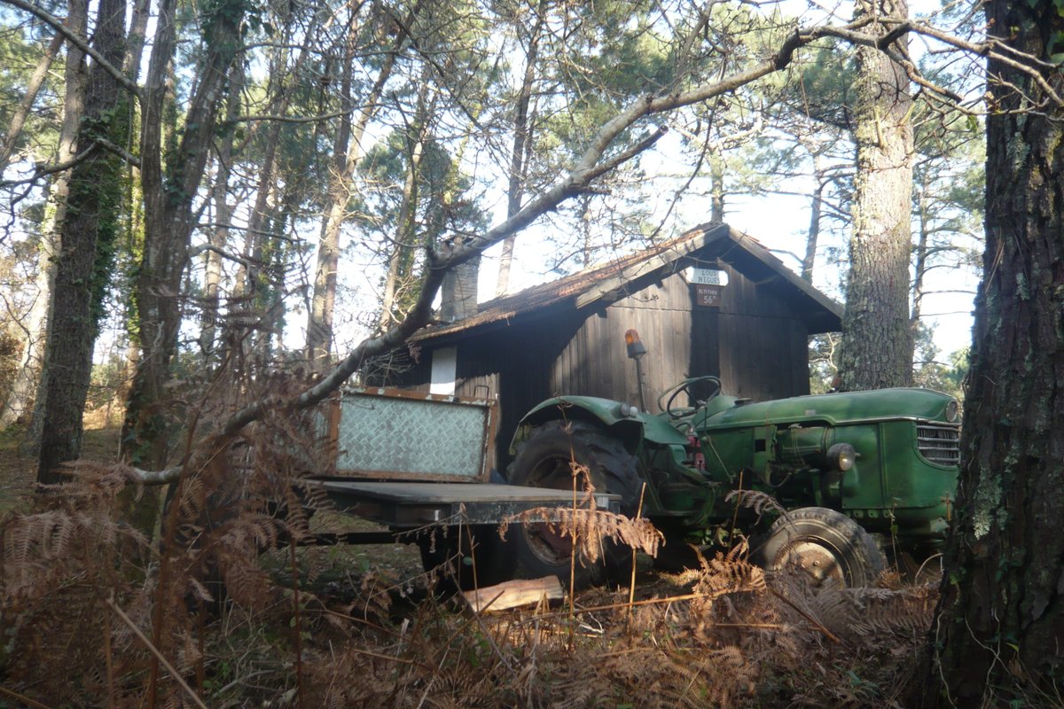 François-Xavier Bodin tweet media