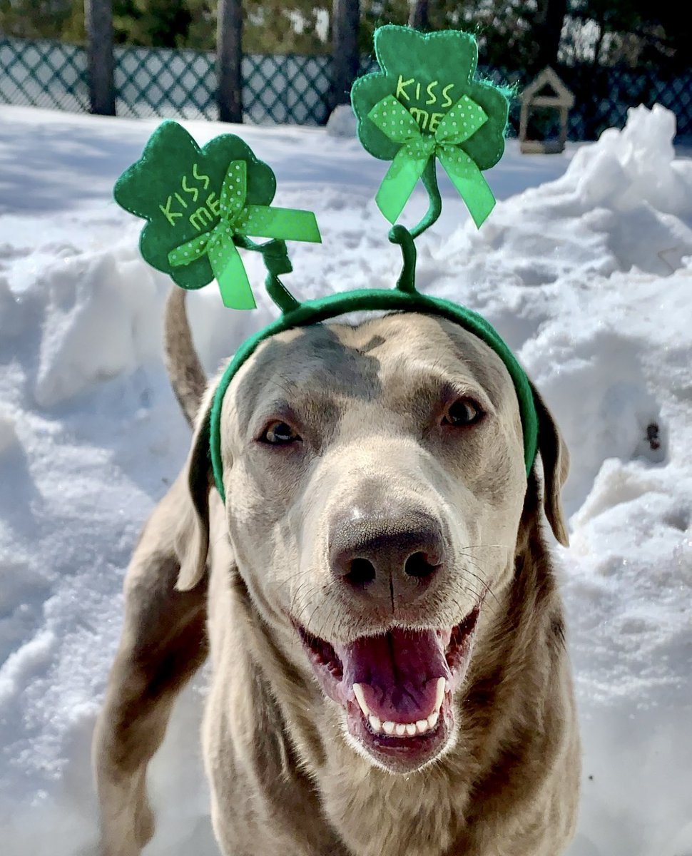 Jackson & Abbey tweet media