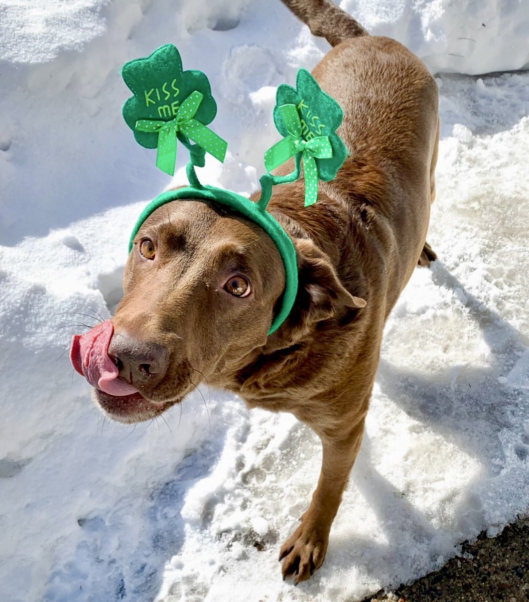 Jackson & Abbey tweet media