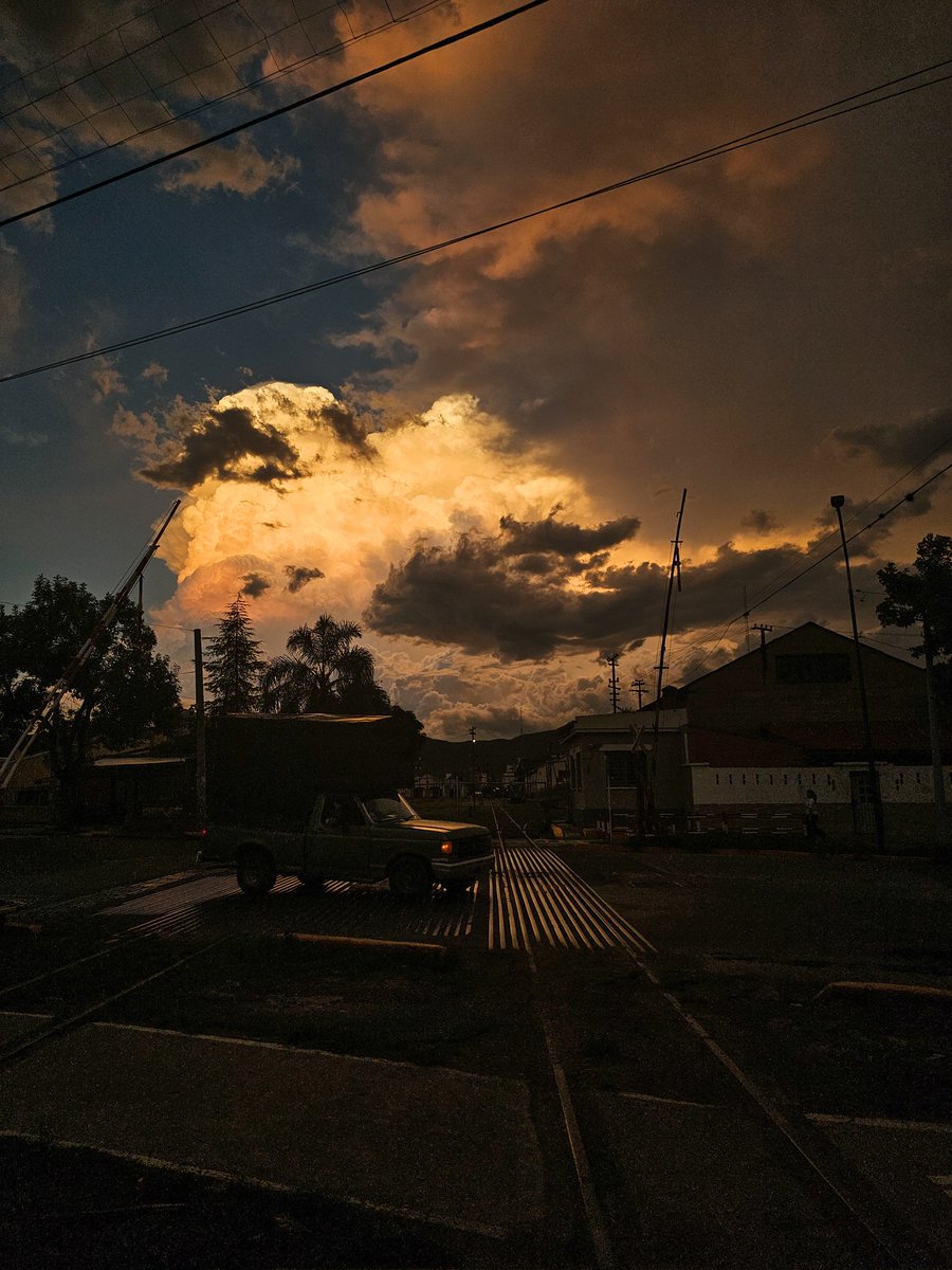 saltenials tweet media