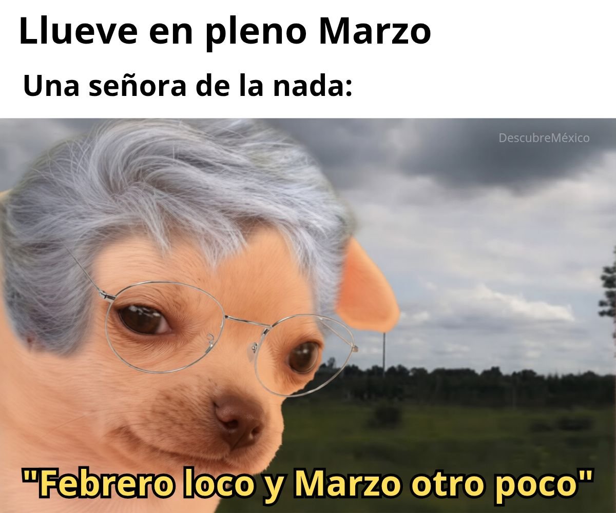 🇲🇽 México Mágico ✨ (@enmexicomagico) on Twitter photo 