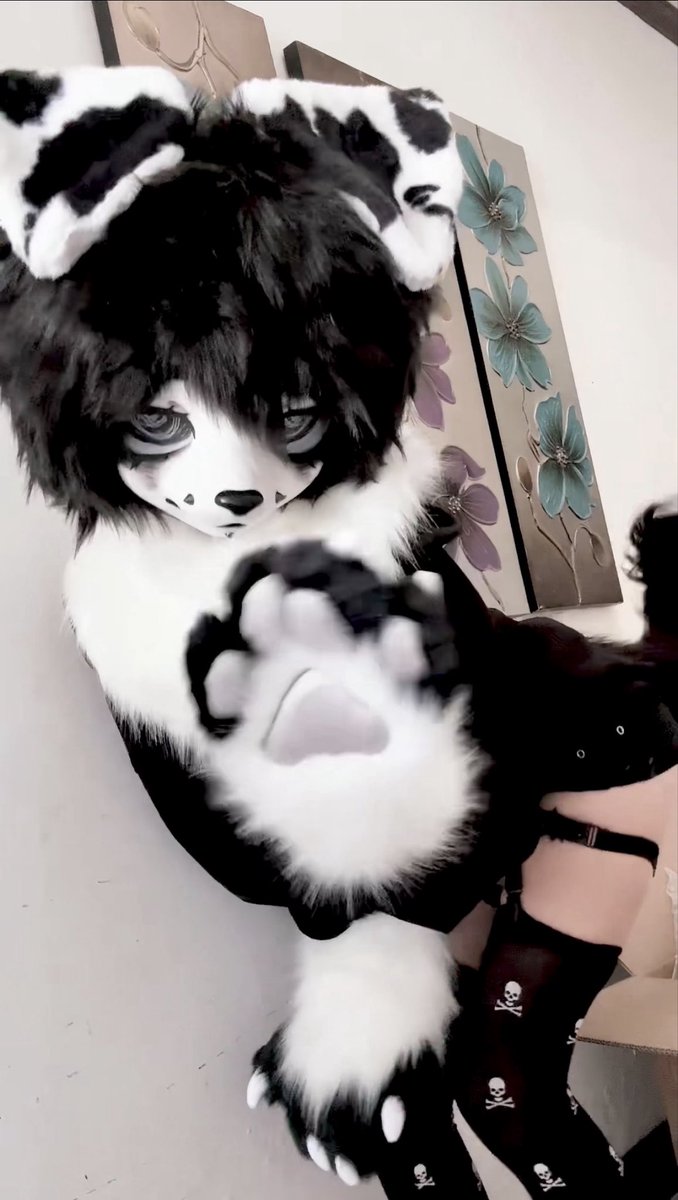 Dawn of F@ilur3﹖﹖ tweet media