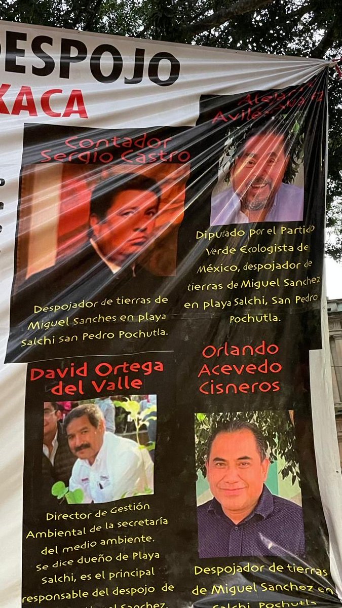 OsMaFco's tweet photo. Acusan al diputado del @PVEM @_AvilesAlvarez del despojo de playas en Pochutla y Puerto Escondido, es socio del clan de Sergio Castro acusado de la lavado de dinero del CJNG https://t.co/QsmCCZ6N5U