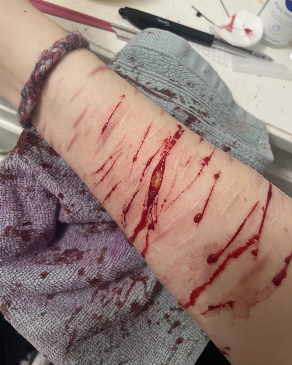 Yuricoochieeater of shtwt☽｡⋆ tweet media