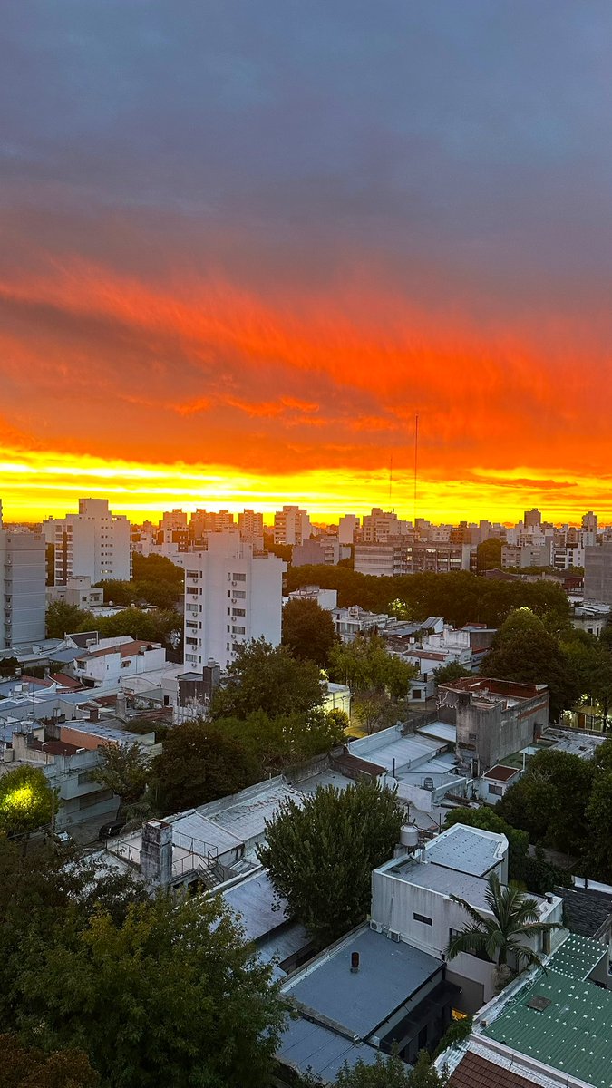 Andre 🐣 tweet media