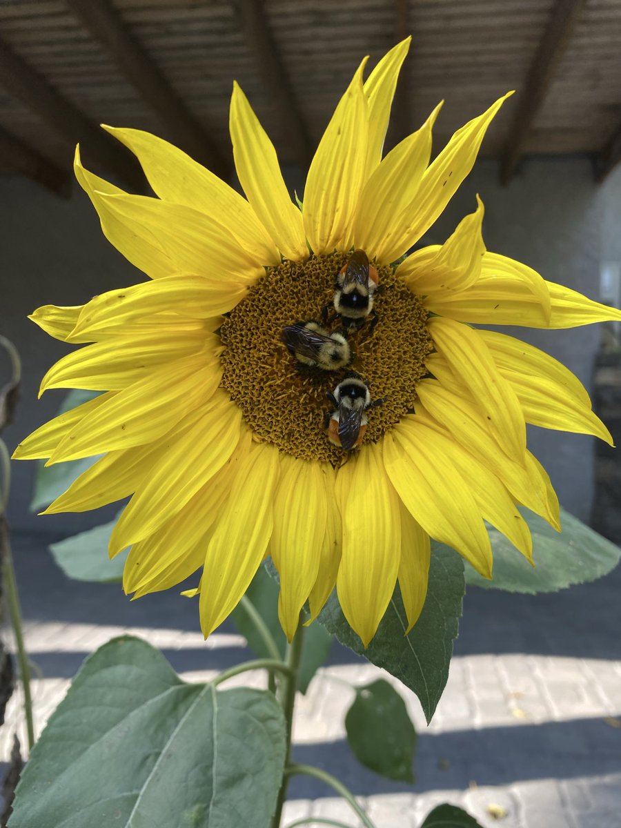 Tammy R. tweet media